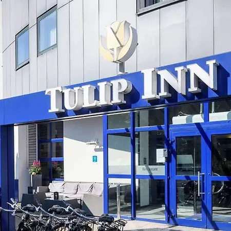 Tulip Anvers